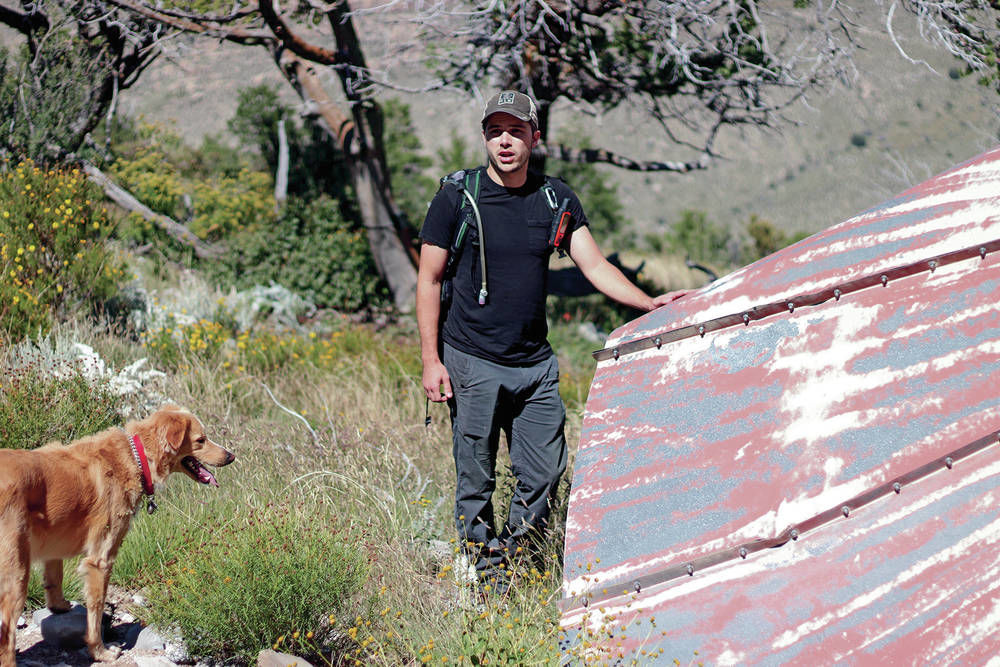 State says advances help it better estimate cougar population